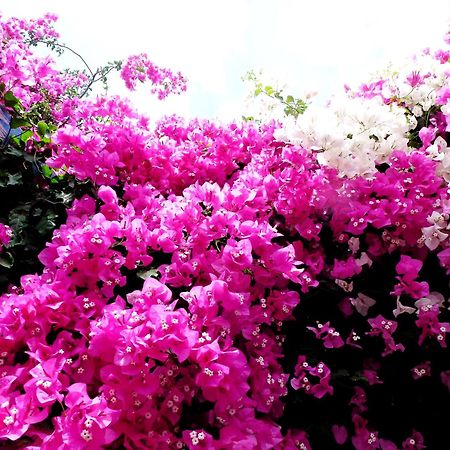Bougainvillea Suites Kamári Esterno foto