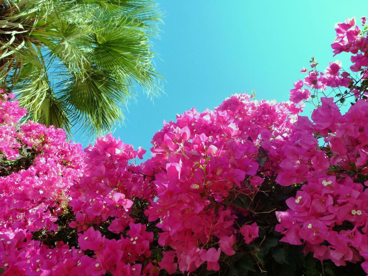 Bougainvillea Suites Kamári Esterno foto